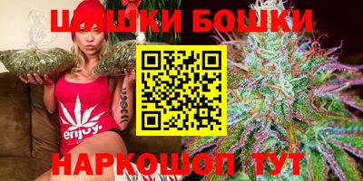кокс Гатчина