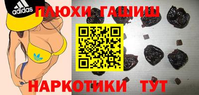кокс Гатчина