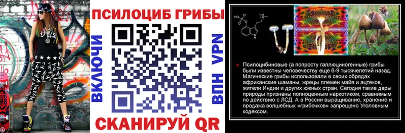 Галлюциногенные грибы мицелий  Каменск-Уральский 